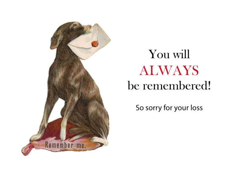 You Will Always Be Remembered Puppy Sympathy Card For The Loss Of A Dog Pet Vintage With Letter Greeting Cards Paper Party Supplies You Will Always Be Remembered Puppy Sympathy Card For The Loss Of A Dog Pet Vintage With Letter Greeting Cards Paper Party Supplies