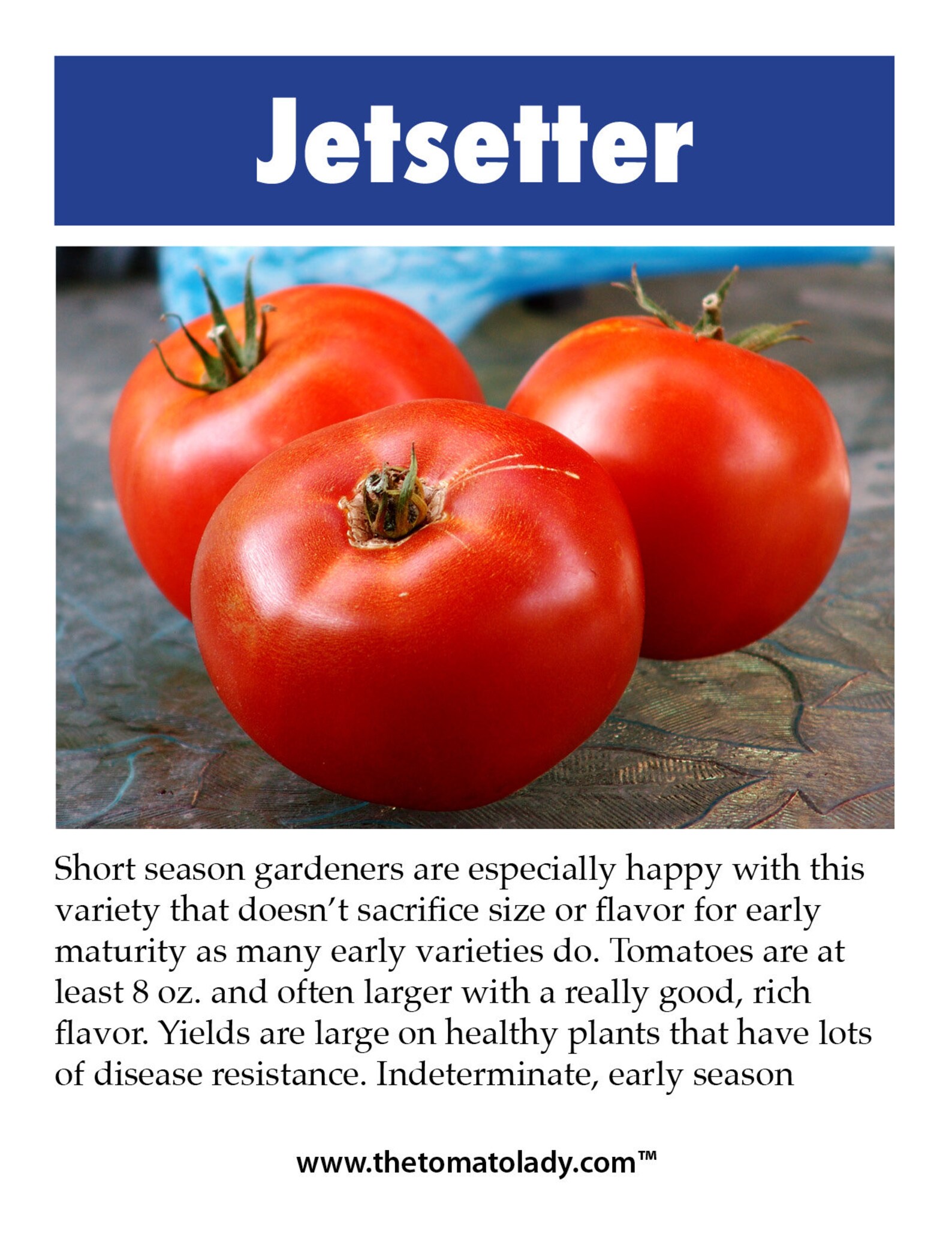 Jetsetter Tomato Tomato Plant Tag Heirloom Plant Tag - Etsy