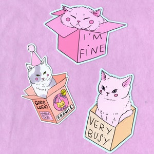 Cat in boxes sticker pack vinyl sticker Lovestruck Prints image 1