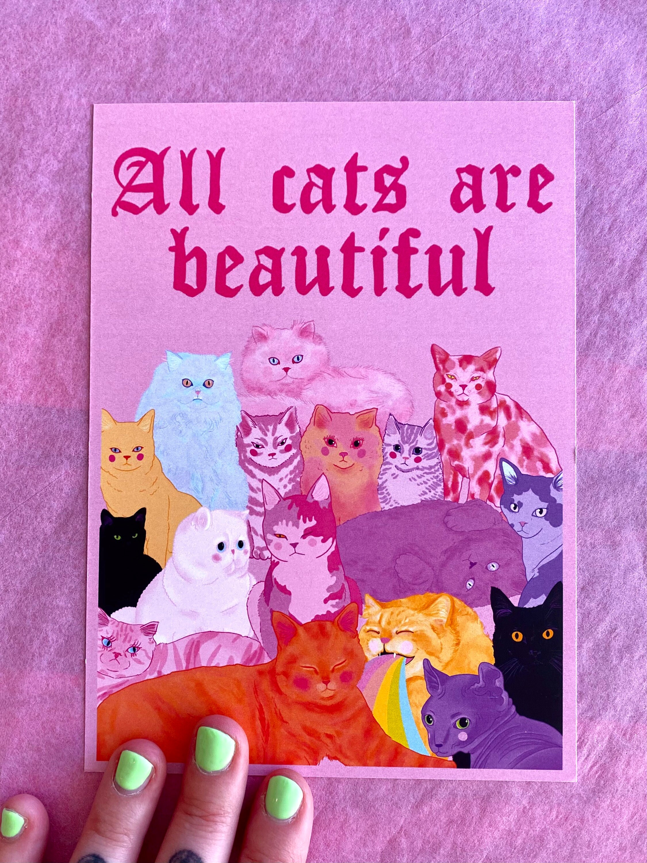 The Cats Cats Cats Sticker Book – The Pretty Pink Rooster Boutique