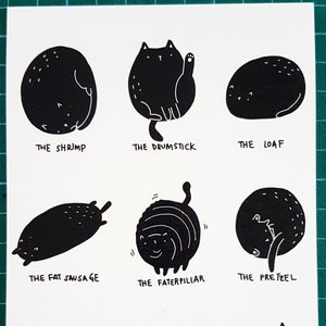 Cat Poses Postcard // Stupida cartolina per gatti