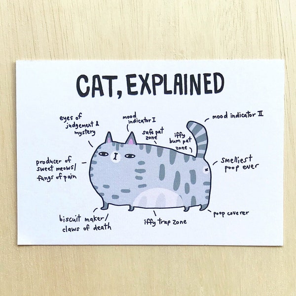 Cat Explained postcard // funny cat postcard