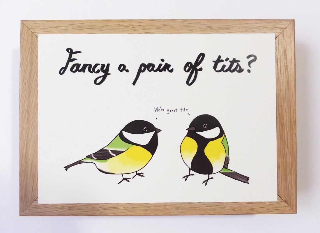 Fancy a Pair of Tits Postcard Cheeky Postcard Great Tits Bird Postcard -  Etsy