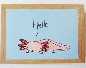 Hello Axolotl