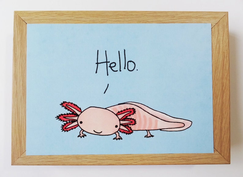 Hello Axolotl image 1