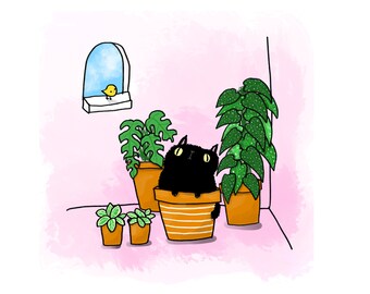 Puede incluir: Un gato negro sentado en una maceta de terracota con plantas verdes. El gato está mirando hacia la izquierda de la imagen. Hay otras plantas en macetas de terracota en el fondo.