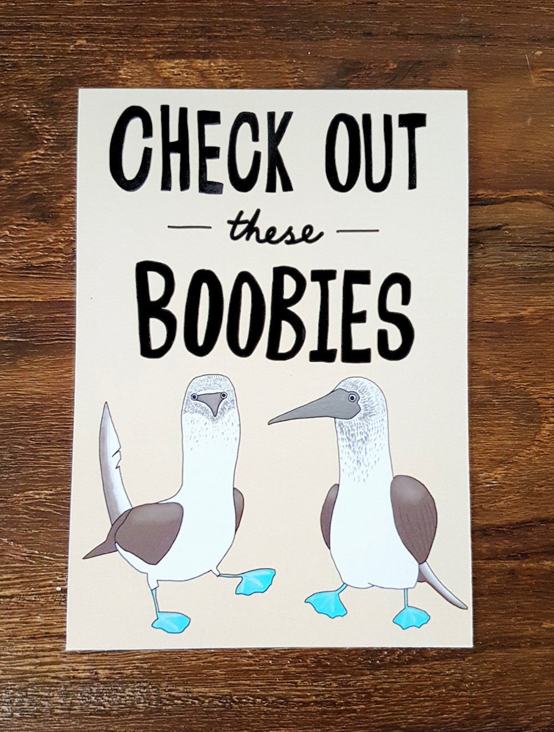 Check Out These Boobies Cheeky Postcard Blue Footed Boobies Postcard Blue  Footed Booby Postcard 