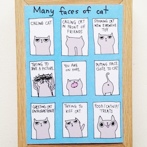 Viele Gesichter Der Katze Postkarte Katzenpostkarte