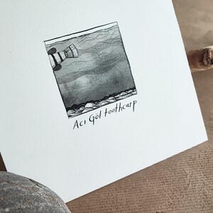 Aci Gol Toothcarp Original Drawing - Endangered Species