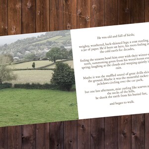Roots greetings card