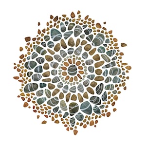 Bloom original drawing
