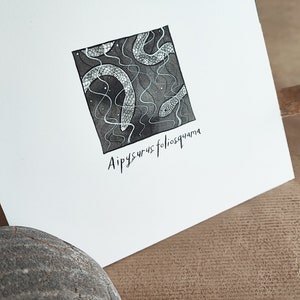 Aipysurus foliosquama original drawing - Endangered Species