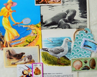 Funny Seagulls Sun 4x Paper Napkins for Decoupage Craft