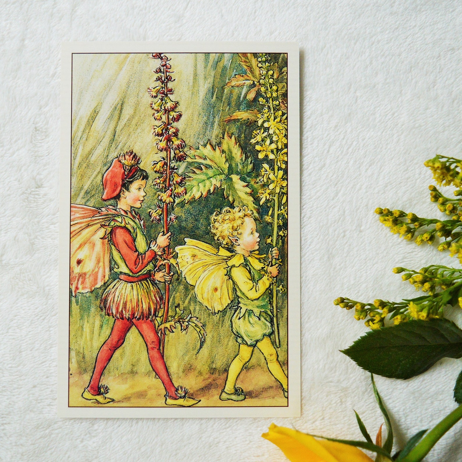 Flower Fairies Postcards select Your Card Etsy