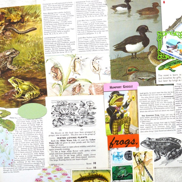 Scrapbooking Ephemera Etsy