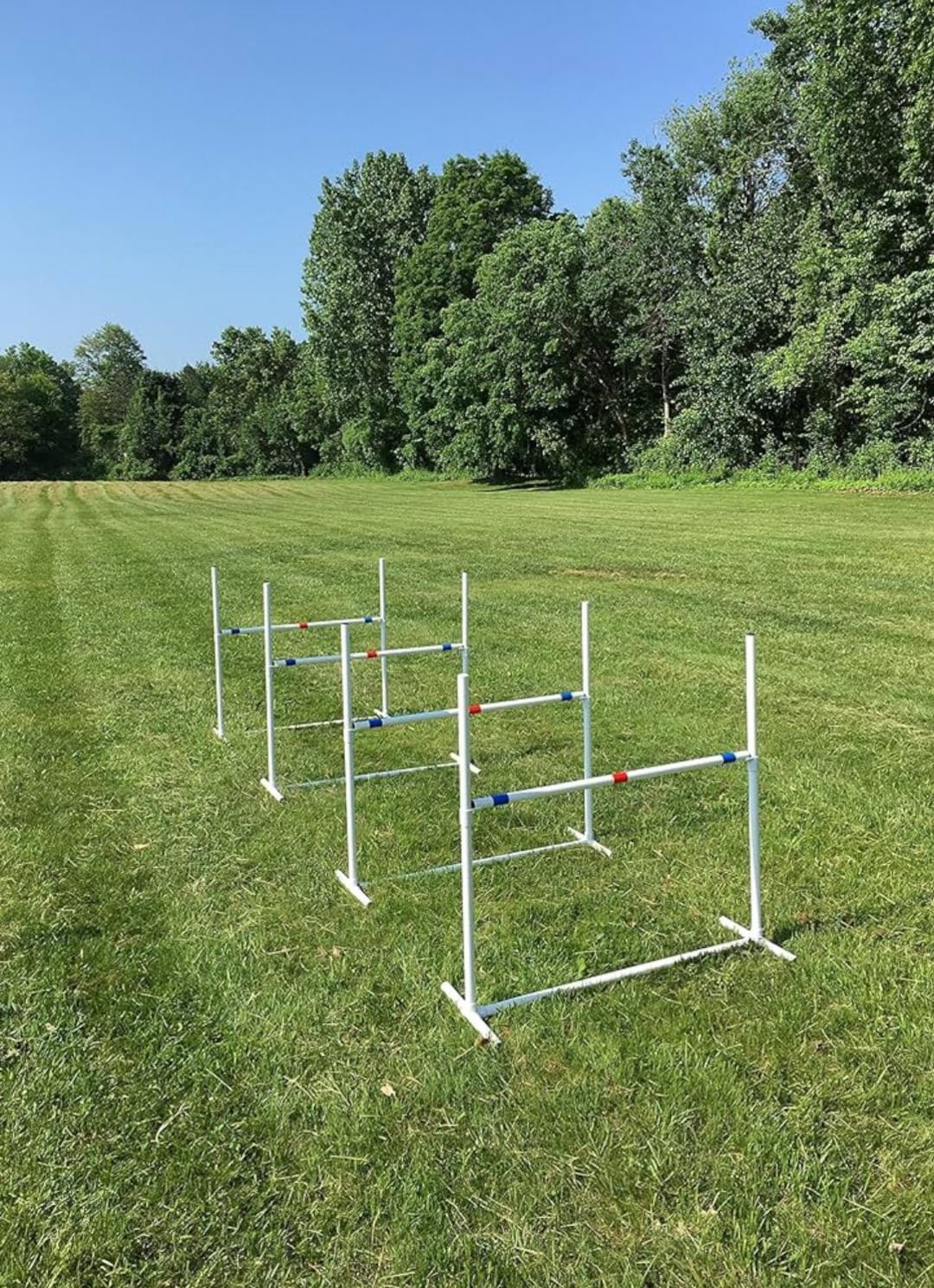 Dog Agility Equipment | 4 Premium Single Bar Jumps | Furniture Grade ...