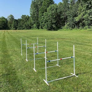 May include: White ladder toss game set with red and blue accents, set up on a green grassy field. The game is designed for outdoor play and leisure activities. The background features a clear blue sky and a line of trees.