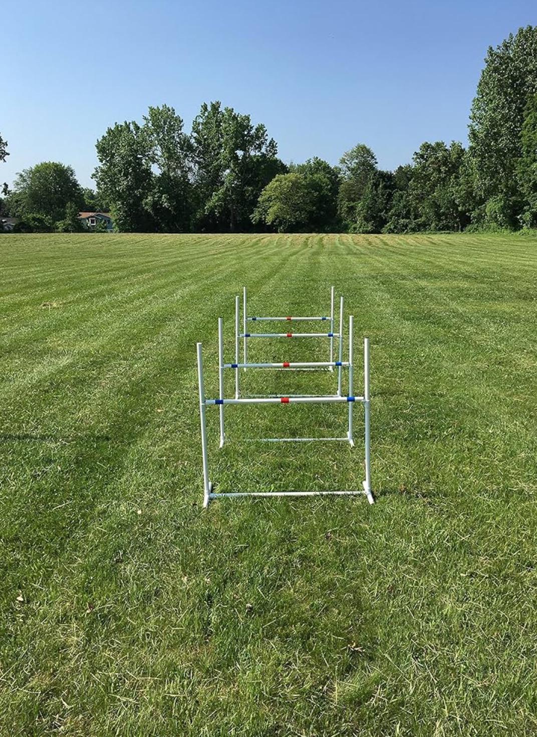 Dog Agility Equipment | 4 Premium Single Bar Jumps | Furniture Grade ...