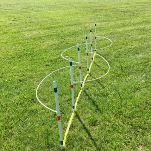 Dog Agility Equipment Jump Cups. Set of 10 1 by the Etsy Ireland