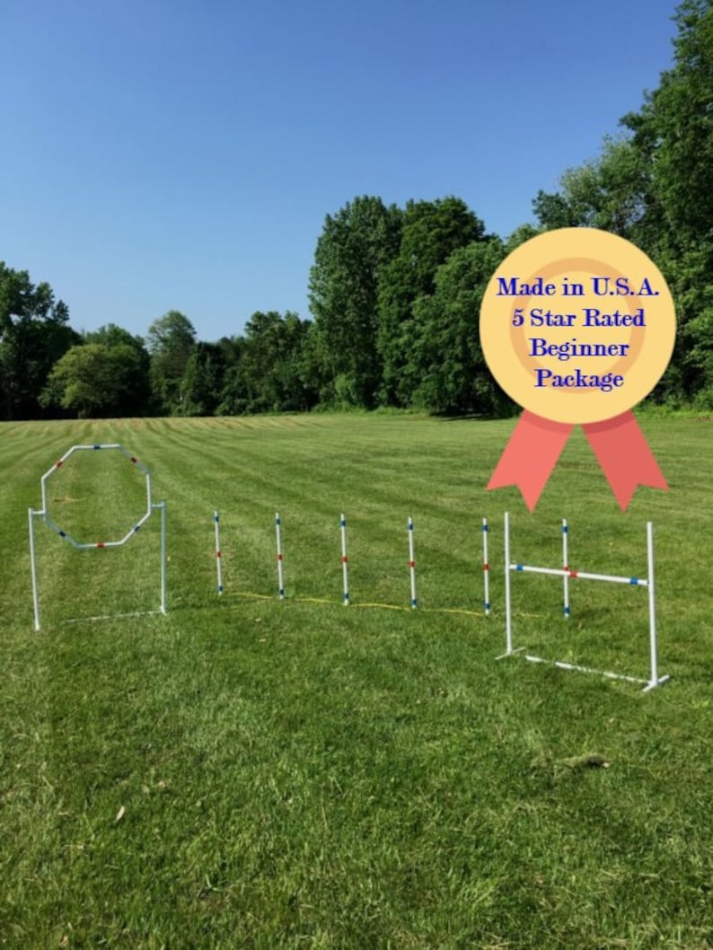 Dog Agility Equipment Complete Starter Set 3 Obstacles the Etsy