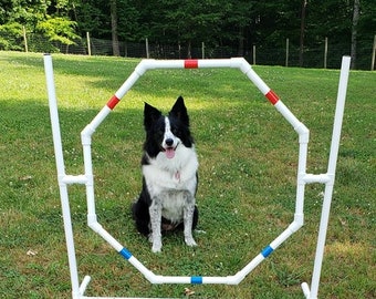 Dog Agility Equipment Premium Hoop Jump/Octagon Tire Jump | UV resistant pipe! | The Dog Agility Shop®