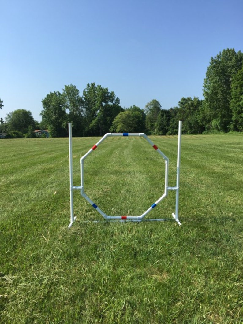 Dog Agility Equipment Premium Hoop Jump/octagon Tire Jump UV Etsy