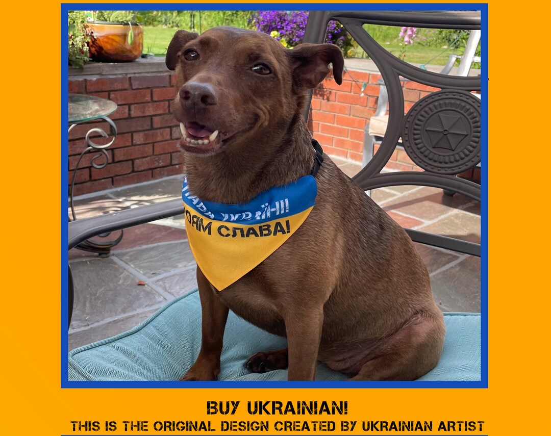Ukraine Dog Bandana Collar. Ukrainian Flag Pet Bandana. Glory Etsy