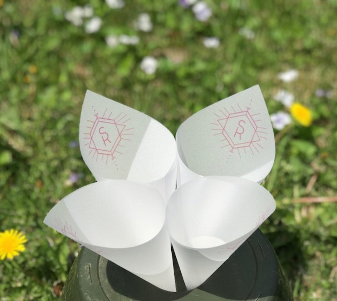 100 Translucent Paper Cones, Petal Cones, Food Cones, Custom Cones