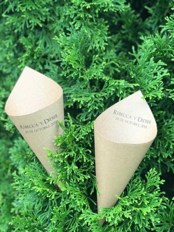 Paper & Party Supplies 100 KRAFT Paper Cones wedding toss tossing food ...