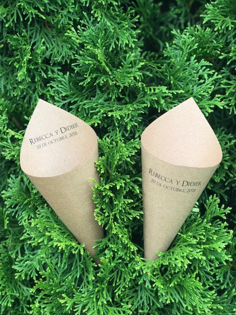 50 KRAFT Paper Cones Eco Friendly Etsy