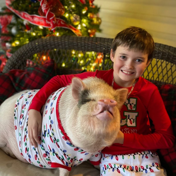 Mini Pig Pajamas/ Pot Belly Pig Clothes/ Pet Pajamas/ Pet Shirt With Sleeves/ Mini Pig Clothes/ Pet Pig Shirt/ Pet Clothes/ Pot Belly Pig