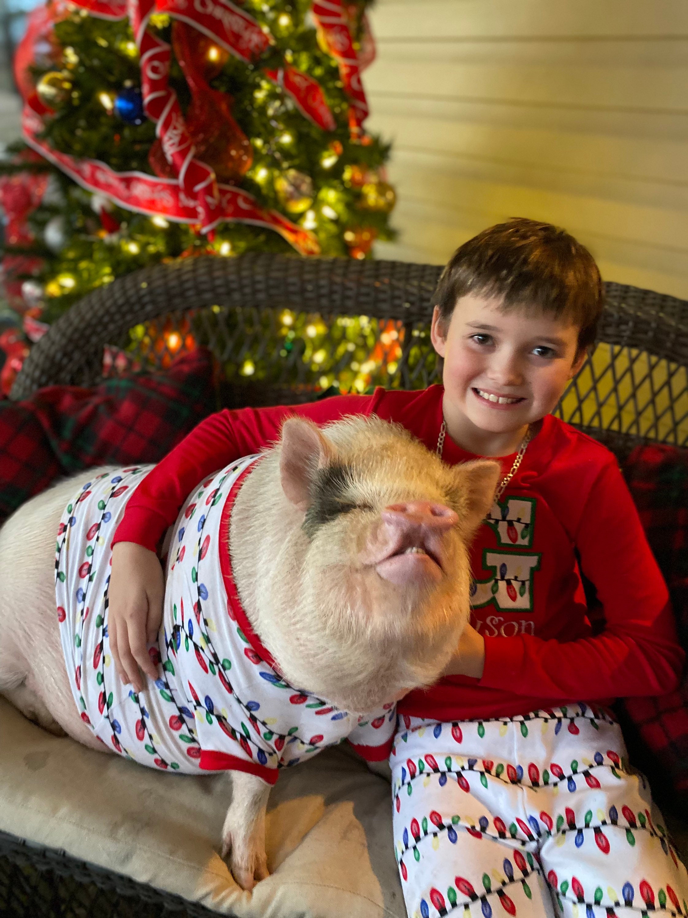Pyjama pour mini cochon Vetements de porcelet pour animaux de compagnie Pyjamas pour animaux de compagnie Chemise pour animaux de compagnie avec manches Vetements de mini cochon Chemise pour cochon de...