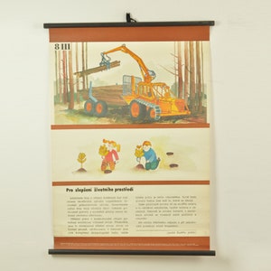 Grafico scolastico, Grafico pull down, Grafico scolastico pull down, Grafico scolastico vintage, Grafico scolastico, Pull Down scolastico, Poster scolastico, Scuola vintage