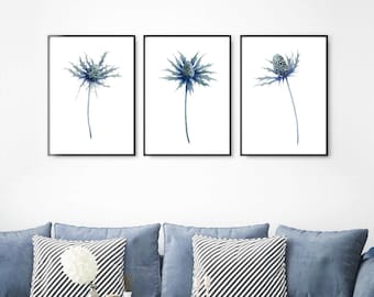 Set of 3 Thistle Paintings, Watercolor Flowers, Indigo Prints, Bedroom Wall Decor, Navy Blue Wall Art, Minimalist Art, Scottish Sea Holly