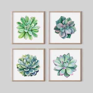 Sukkulenten Wandkunst, Kaktus Prints, Botanisches Druckset, Galeriewandset, Wohnzimmer Wandkunst, Schlafzimmer Wanddeko, Pflanzenposter, Aquarell