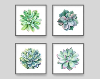 Succulent Wall Art Etsy