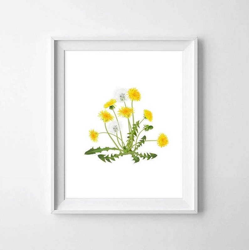 Dandelion Prints Watercolor Wildflowers Nursery Decor Printable Digital Download Bedroom Wall Decor Pink and Yellow Dandelion Wall Art