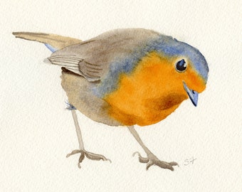 Bird Painting, Bird Print, Bird Wall Art, Bird Art Print, Bird Watercolor, Robin Painting, Robin Watercolor, 5x7 Watercolor Art Print