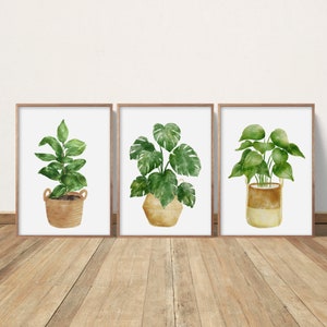 Conjunto de 3 plantas en acuarela, conjunto para pared de galería, pintura de plantas de interior, regalo de decoración para el hogar, láminas de hojas, tríptico, conjunto de láminas botánicas, Monstera