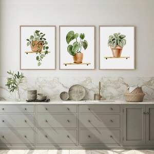 Botanical Print Set, Living Room Wall Art, Home Decor Gift, Houseplant ...