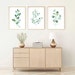 Eucalyptus Prints, Botanical Print Set, Plant Posters, Bedroom Wall Decor, Leaf Print, Living Room Wall Art, Home Decor Gift, Watercolor 