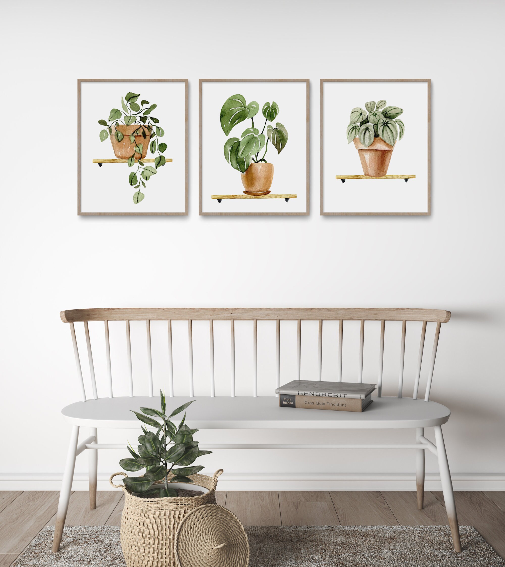 Set of 3 Watercolor Plants, Botanical Printable Set, Leaf Prints ...
