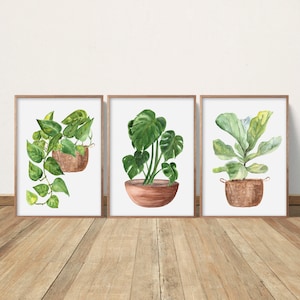 May include: Three framed watercolour prints of potted plants. The prints depict various green foliage in brown pots, set against a white background. The frames are light brown, and the artwork is displayed on a wooden floor.