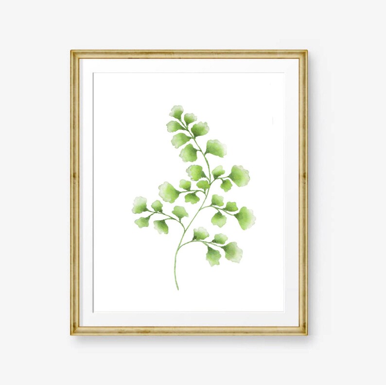 Watercolor Fern Prints Botanical Print Set Living Room Wall Etsy
