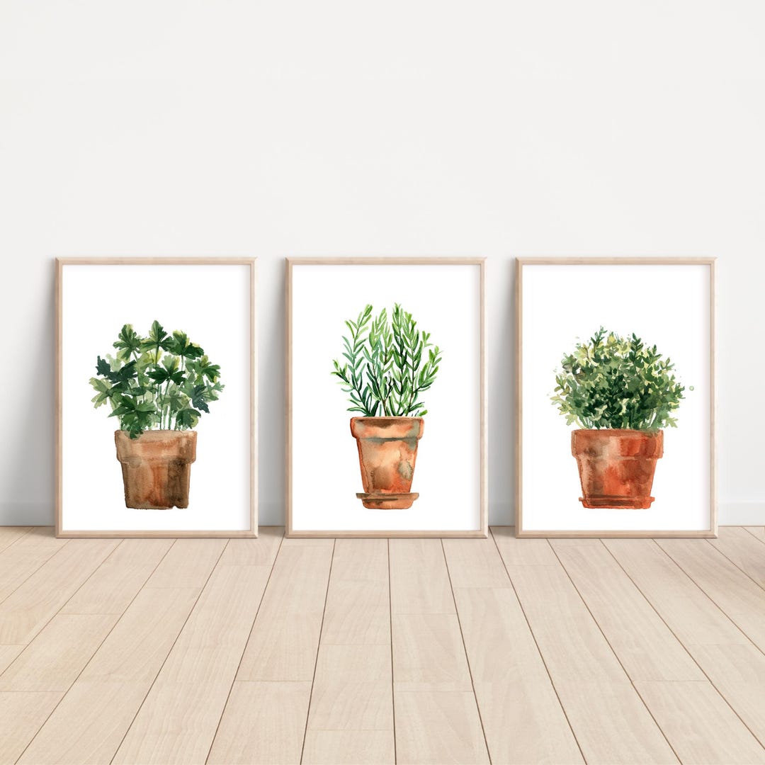 kitchen wall decor art prints - botanical prints -... Culinary Herb Prints, Kitchen Wall Art, Botanical Print Set, Houseplant ...
