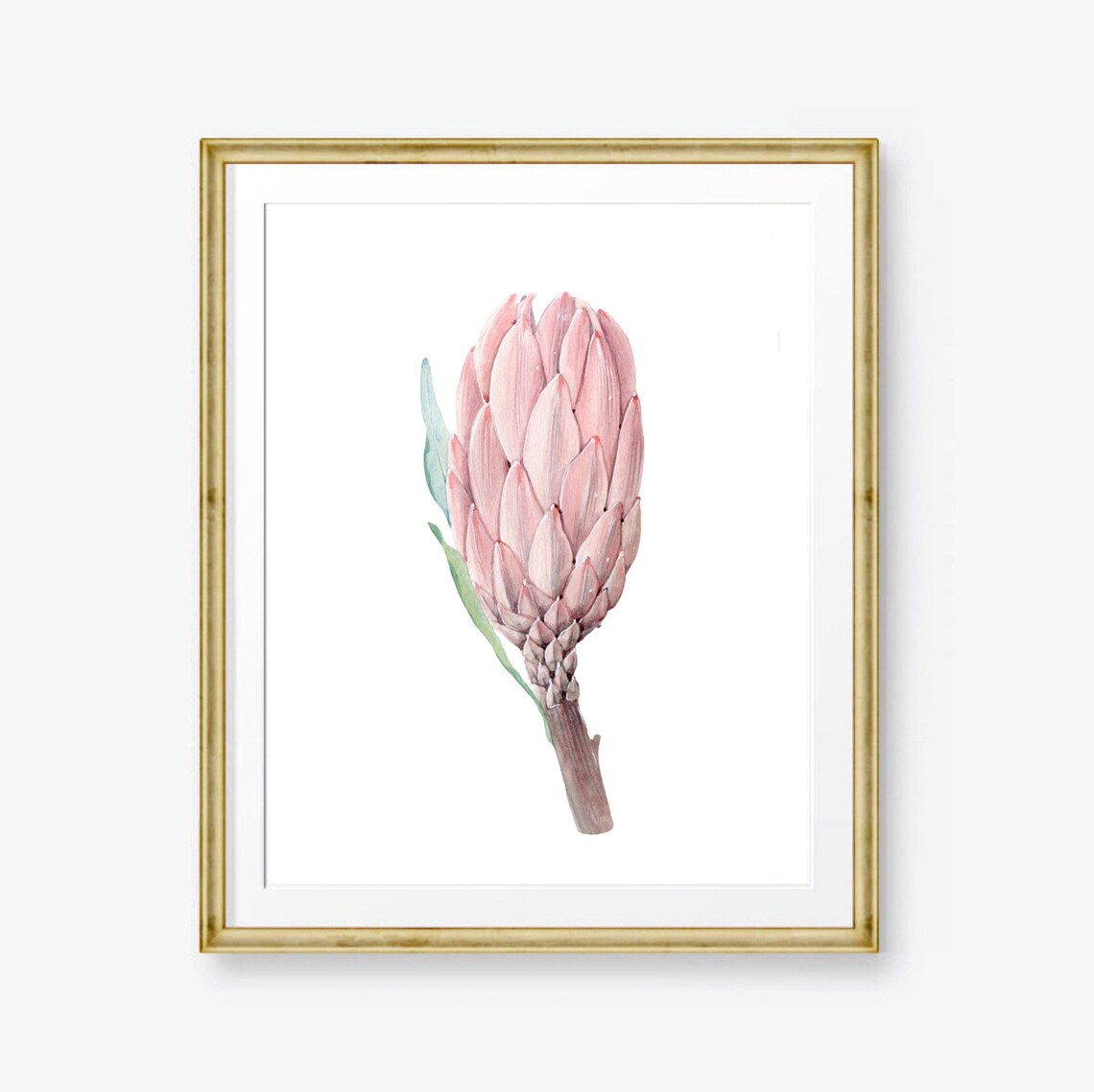 Watercolor Protea Wall Art South Africa Flowers King Protea Etsy
