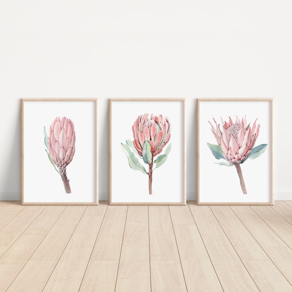 Watercolor Protea Wall Art, South Africa Flowers, King Protea Art Print, Blush Pink Floral, Bedroom Wall Decor, Home Decor Gift Protea Plant