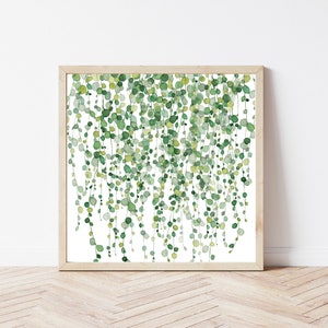 Botanical Print, Square Abstract Art Print, String of Pearls Plant Poster, Leaf Print, Living Room Wall Art, Bedroom Wall Decor, Home Decor