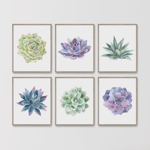 6er Set Aquarell Kaktus, Sukkulenten Wandkunst, Southwest Dekor, Kinderzimmer botanisches Druckset, Pflanzenposter, Galeriewandset Frauen Teenager Mädchen