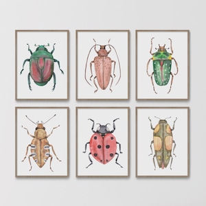 May include: A set of six framed wall art prints featuring watercolor illustrations of various beetles. Each print displays a different insect species, including a ladybug, in shades of green, red, brown, and tan against a plain white background.